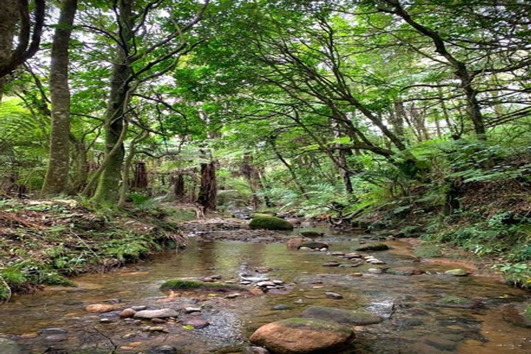 Photo of property in 442 Lockington Road, Aongatete, Katikati, 3181