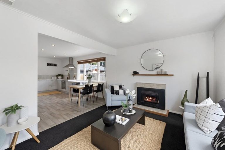 Photo of property in 141 Rimu Street, Maeroa, Hamilton, 3200