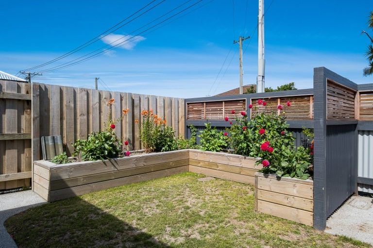 Photo of property in 146 Melbourne Street, South Dunedin, Dunedin, 9012