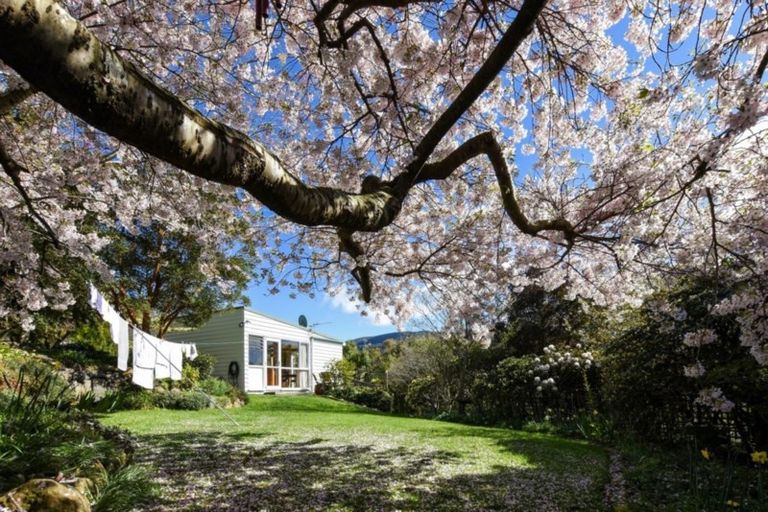 Photo of property in 61 Braeview Crescent, Maori Hill, Dunedin, 9010