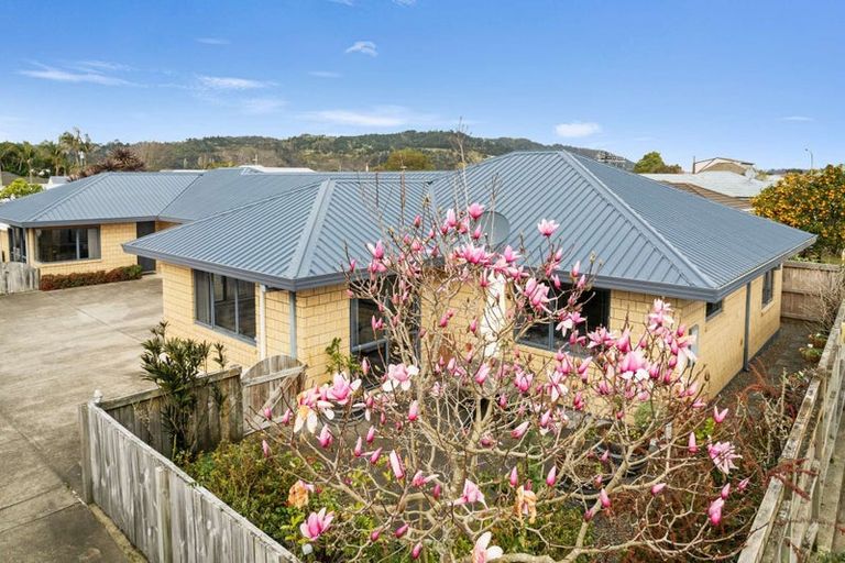 Photo of property in 33a Nelson Street, Whakatane, 3120