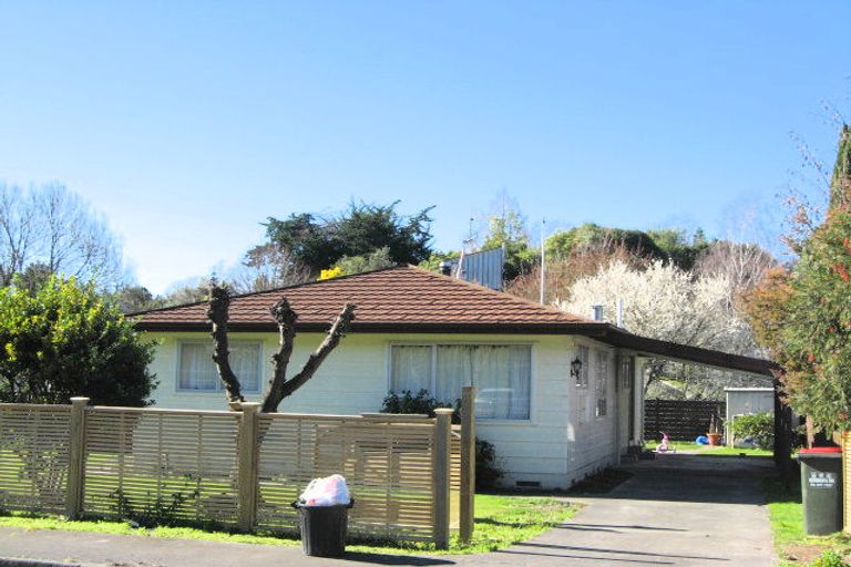 Photo of property in 16 Von Dadelszen Place, Havelock North, 4130