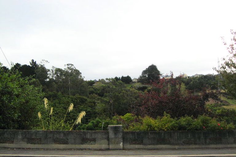 Photo of property in 518 South Road, Calton Hill, Dunedin, 9012