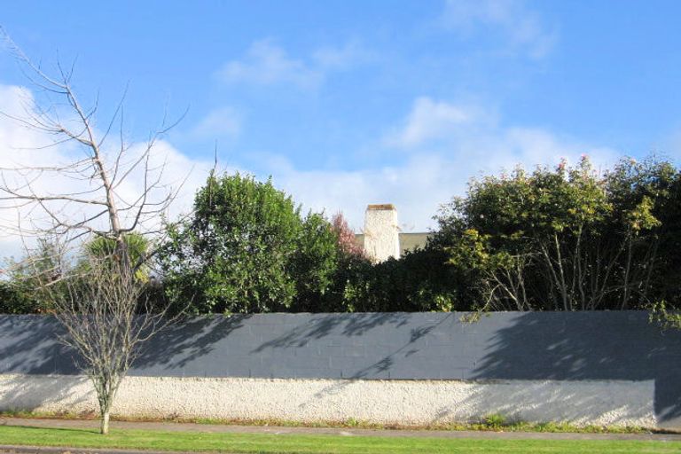 Photo of property in 21 Studholme Street, Morrinsville, 3300