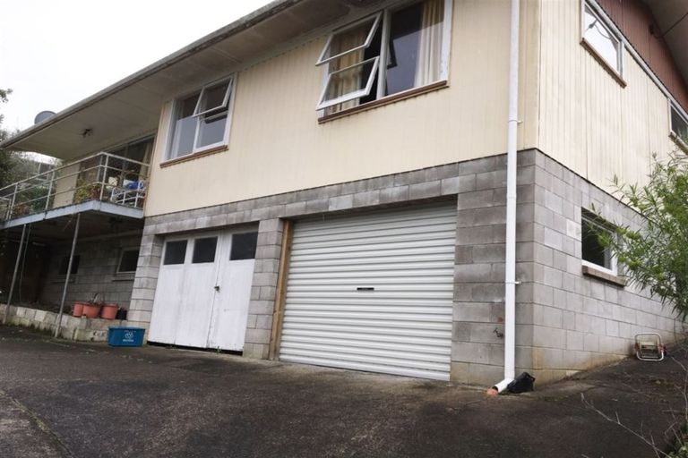 Photo of property in 115 Brunton Crescent, Thames, 3500