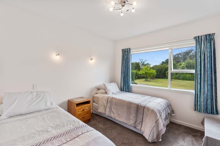 Photo of property in 32 Ketemaringi Way, Manakau, Levin, 5573