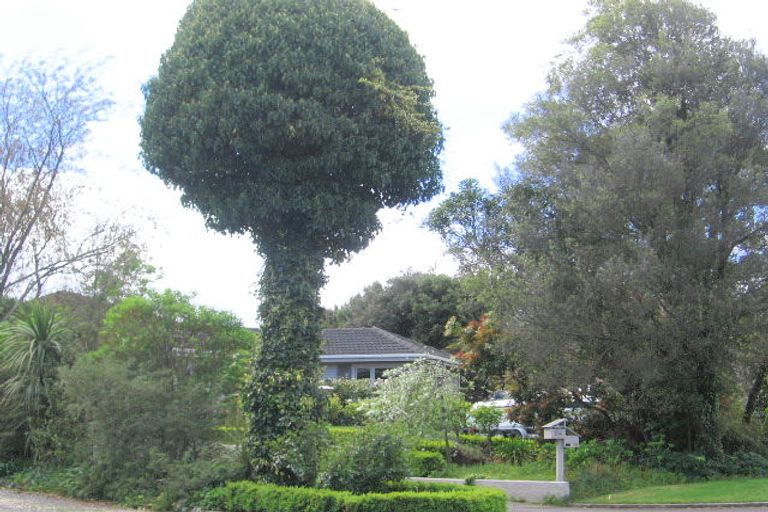 Photo of property in 54 Kaka Street, Taupo, 3330