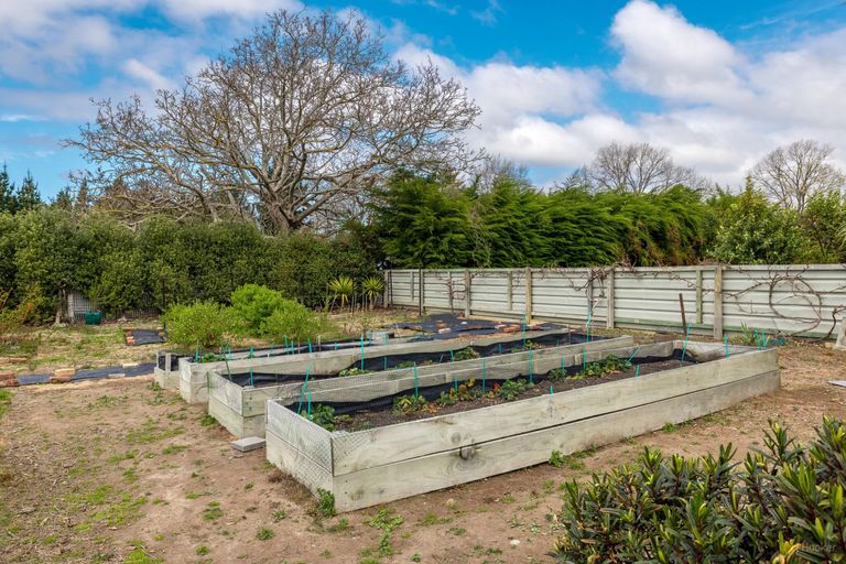 Photo of property in 15 Edward Street, Waimate, 7924