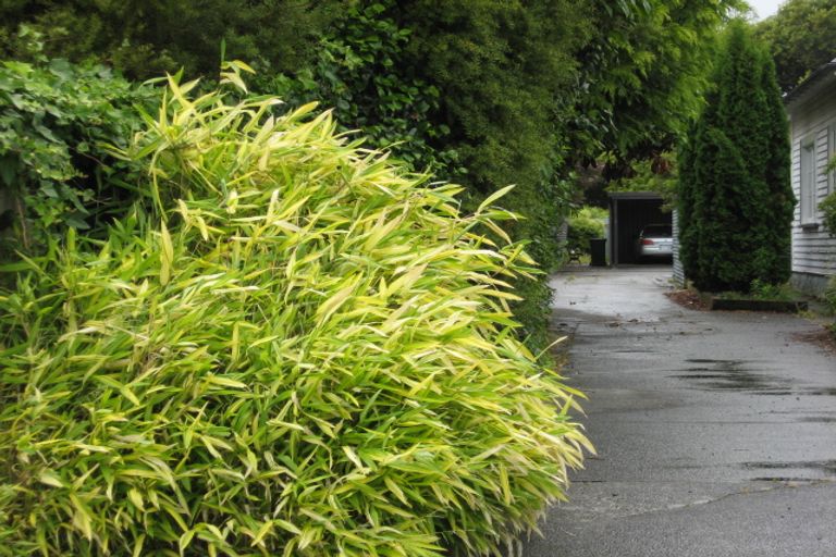 Photo of property in 3c Lytton Street, Feilding, 4702