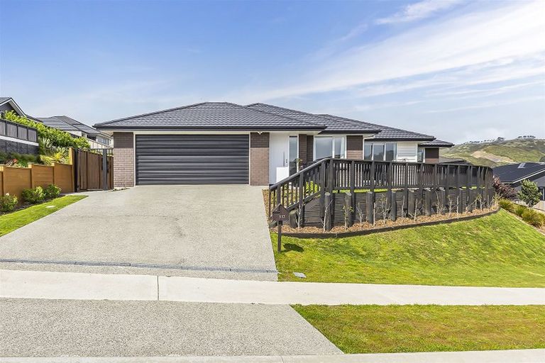 Photo of property in 113 John Burke Drive, Aotea, Porirua, 5024