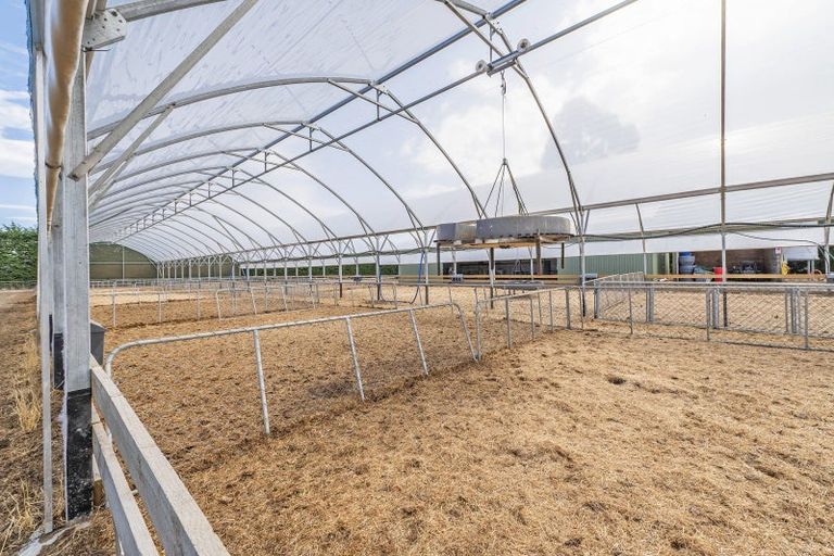 Photo of property in 391 Sharlands Road, Dunsandel, Rakaia, 7783