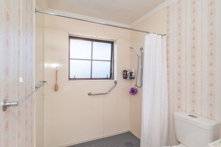 Photo of property in 102 Winchester Street, Levin, 5510