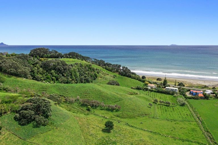 Photo of property in 59 Pohutukawa Drive, Waiotahe, Opotiki, 3198