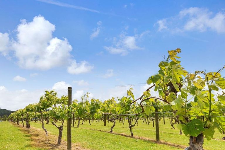 Photo of property in 101 Vineyard Road, Te Kauwhata, 3782