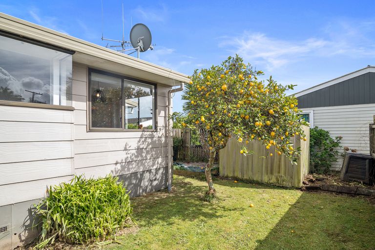 Photo of property in 42a Weld Street, Cambridge, 3434