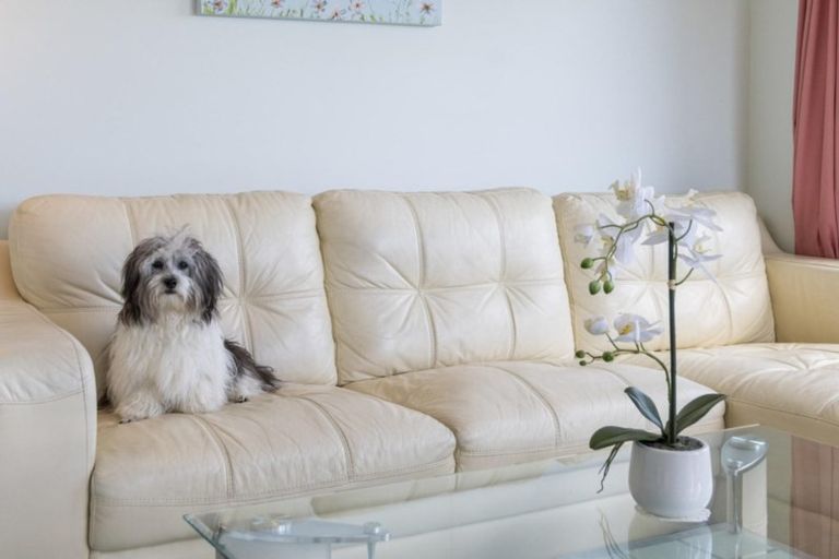 Photo of property in 10 Bayvista Close, Welcome Bay, Tauranga, 3112