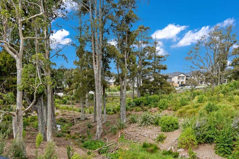 Photo of property in 25 Tannaghmore Drive, Flat Bush, Auckland, 2019