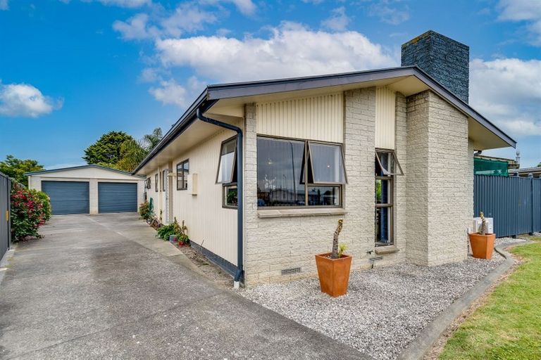 Photo of property in 39 Lanark Place, Tamatea, Napier, 4112