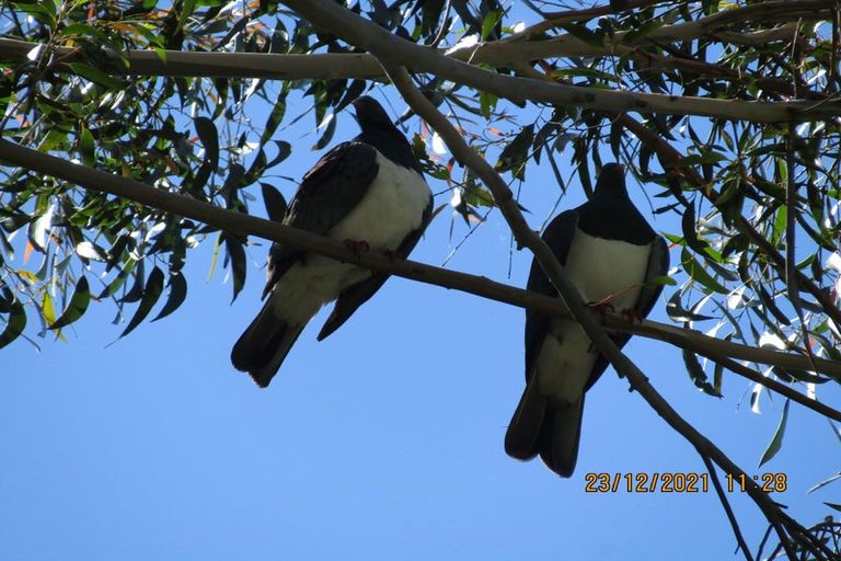 Photo of property in 608 Apley Road, Puketapu, Napier, 4184