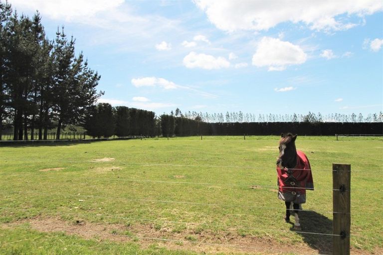 Photo of property in 49 Riverlea Downs, Broadlands, Reporoa, 3081