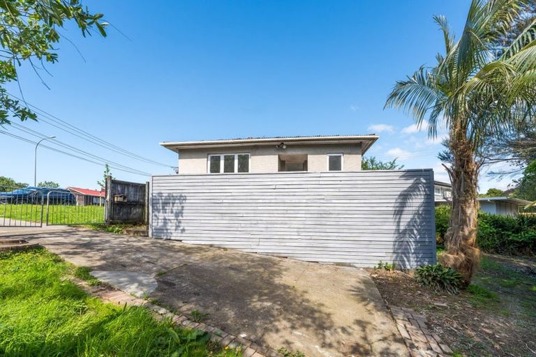 Photo of property in 101 Seabrook Avenue, New Lynn, Auckland, 0600