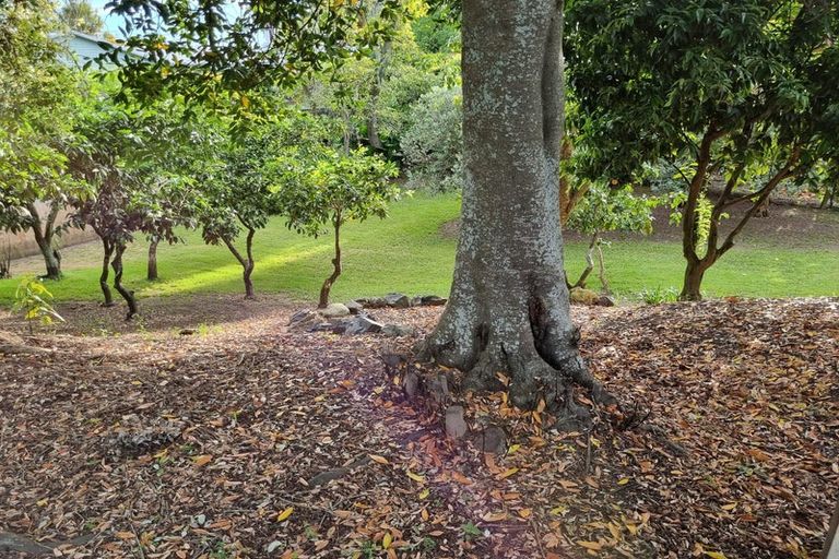 Photo of property in 1137 Matawai Road, Ormond, Gisborne, 4071