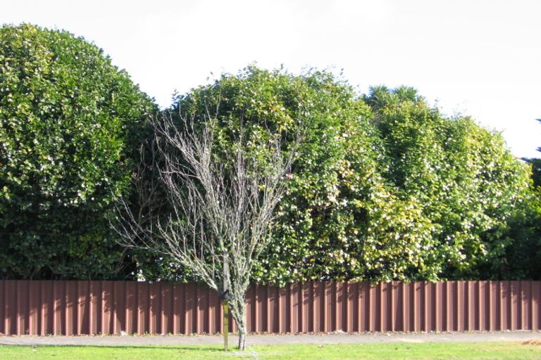 Photo of property in 2 Cureton Street, Morrinsville, 3300