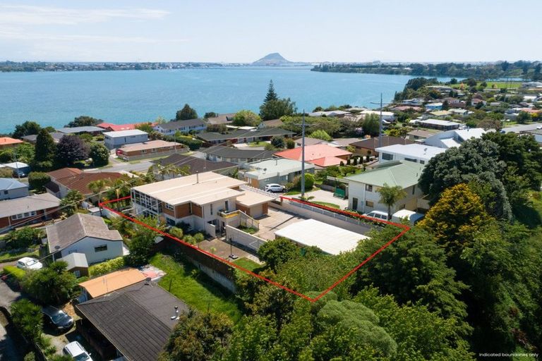 Photo of property in 343 Maungatapu Road, Maungatapu, Tauranga, 3112