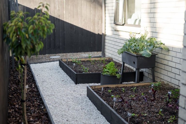 Photo of property in 3 Hawkins Lane, Cambridge, 3434