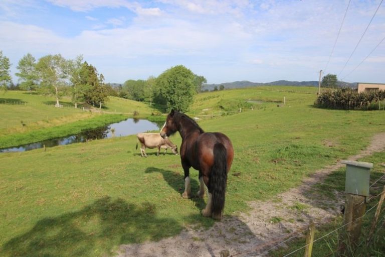 Photo of property in 229 Pakaru Road, Kawakawa, 0282