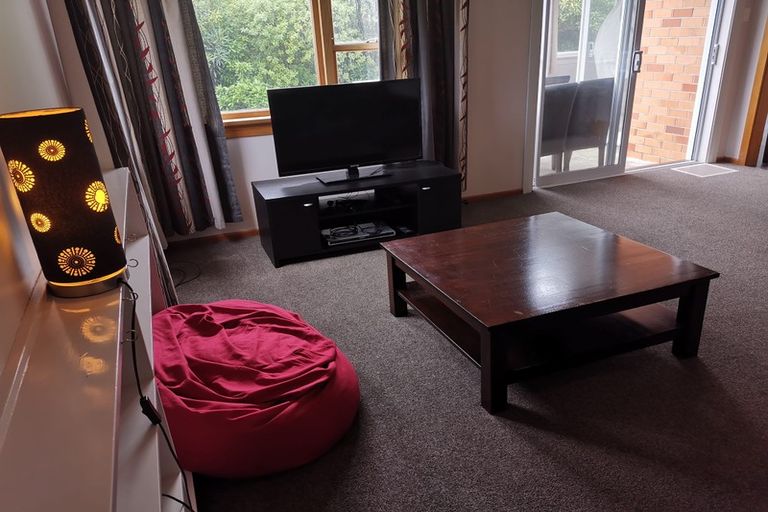 Photo of property in 191 Evans Street, Opoho, Dunedin, 9010