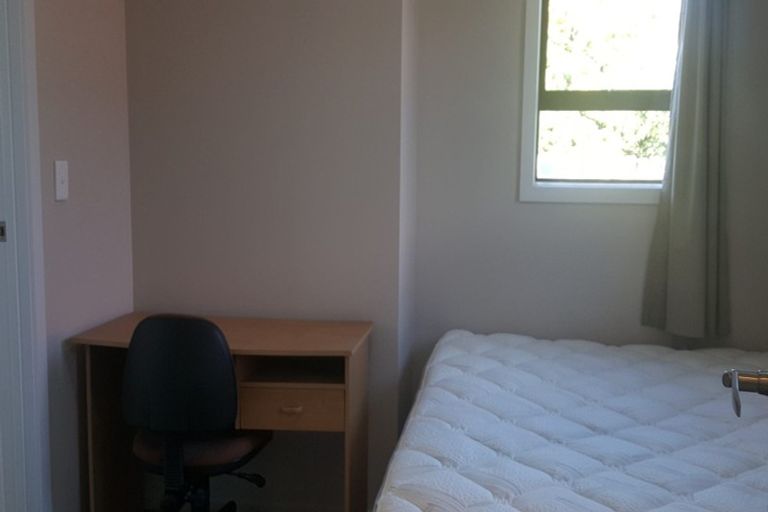 Photo of property in 3 Paeroa Street, Riccarton, Christchurch, 8041