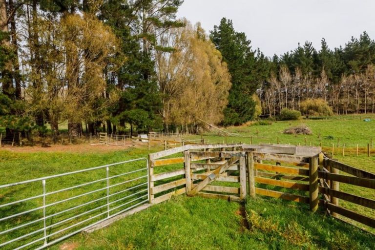 Photo of property in 360 Scotts Road, Linton, Palmerston North, 4472