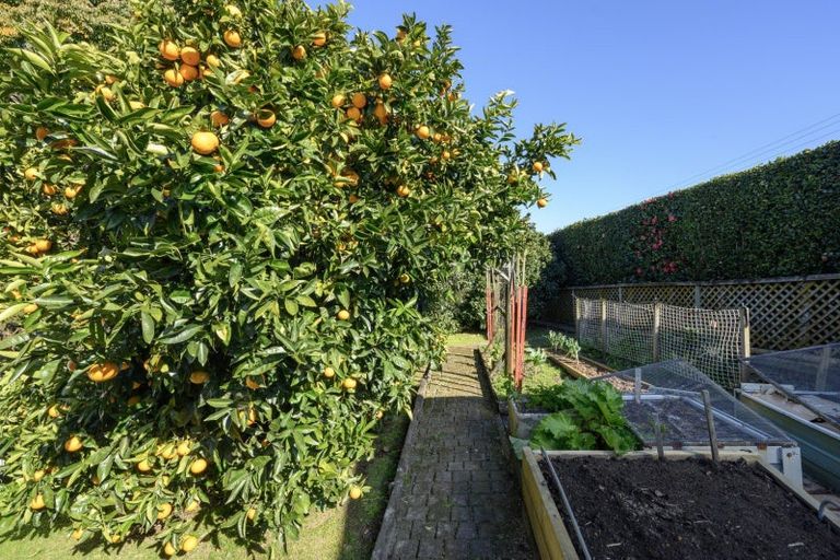 Photo of property in 561 Cambridge Road, Tauriko, Tauranga, 3110