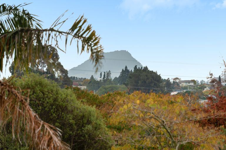 Photo of property in 36a Snowden Street, Ohauiti, Tauranga, 3112