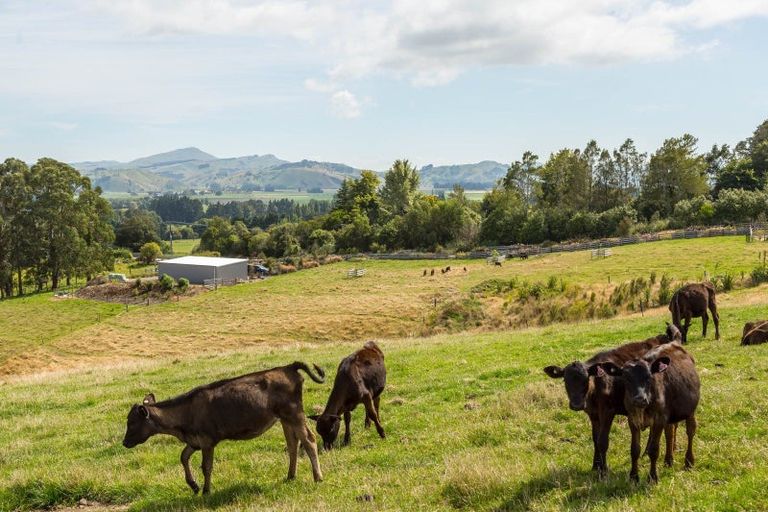 Photo of property in 67a Lees Pakaraka Road, Te Ore Ore, Masterton, 5886