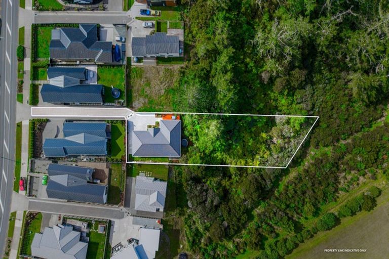 Photo of property in 75 Glenvar Ridge Road, Long Bay, Auckland, 0630