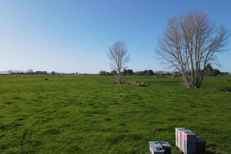 Photo of property in 77 Goodwin Road, Ohaupo, Cambridge, 3495