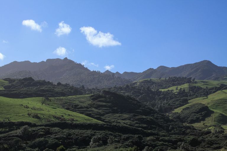 Photo of property in 1644a Whaanga Road, Raglan, 3296