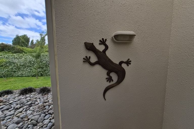 Photo of property in 81 Harrowfield Drive, Harrowfield, Hamilton, 3210