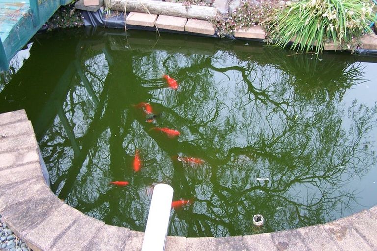 Photo of property in 37 Puriri Crescent, Edgecumbe, 3120