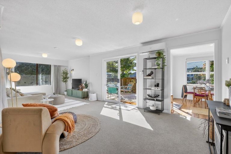 Photo of property in 102 Mount View Road, Melville, Hamilton, 3206