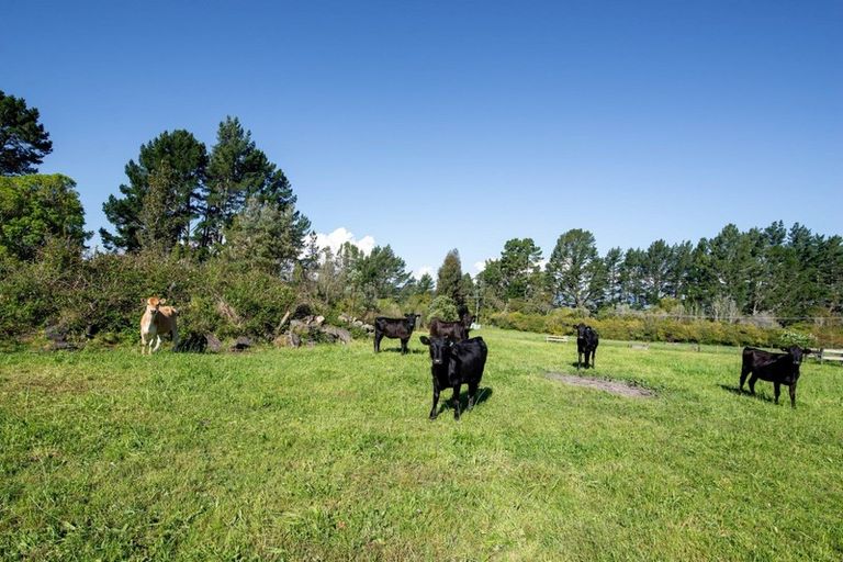 Photo of property in 350a Dalbeth Road, Hamurana, Rotorua, 3072