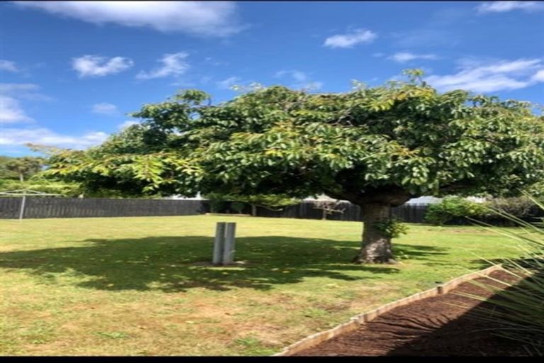 Photo of property in 7 Duke Street, Levin, 5510