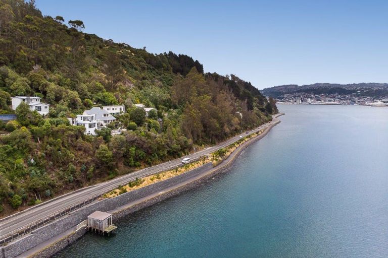 Photo of property in 275 Portobello Road, The Cove, Dunedin, 9077