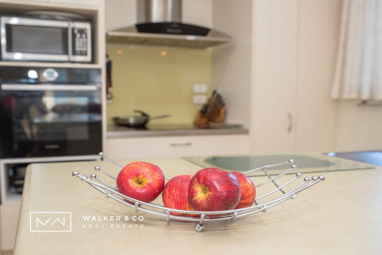 Photo of property in 31 Royal Street, Upper Hutt Central, Upper Hutt, 5018