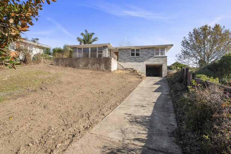 Photo of property in 15 Bledisloe Avenue, Putaruru, 3411