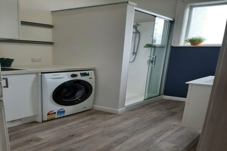 Photo of property in 172 Bordesley Street, Phillipstown, Christchurch, 8011