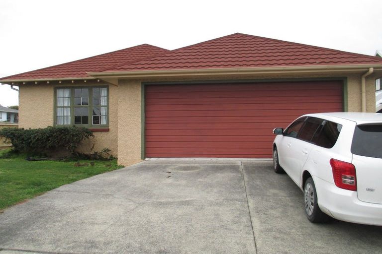 Photo of property in 68 Limbrick Street, Terrace End, Palmerston North, 4410