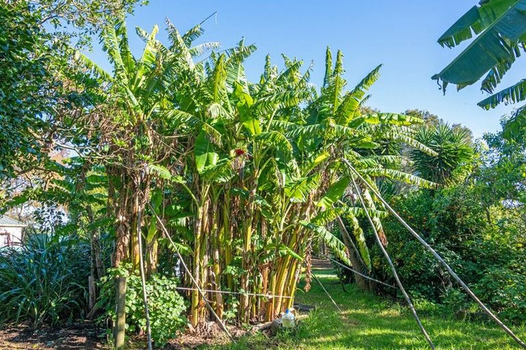 Photo of property in 2640 South Head Road, South Head, Helensville, 0874